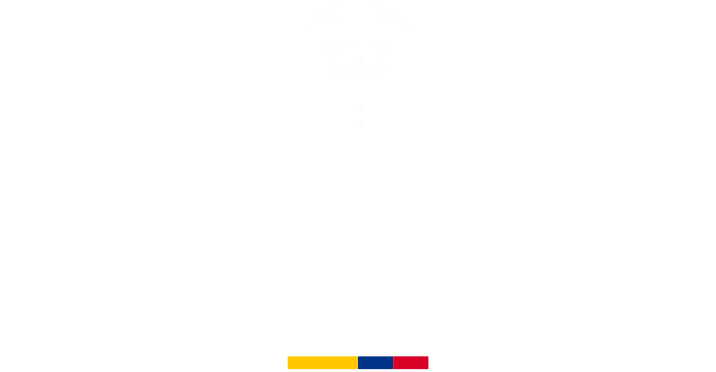 OpenPass | Precios de peajes en Colombia: cómo se calculan y cómo pagarlos más ágil